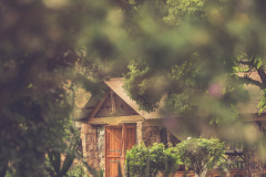 Justin-Karise-Forevermore-Moments-041